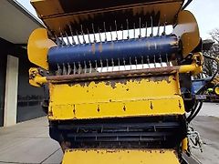 Warzée DE 551 DE 500